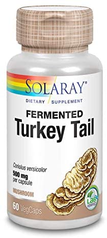 Solaray Fermented Turkey Tail Mushroom 500mg | 60 VegCaps
